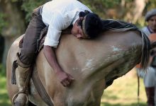 The Joy and Benefits of Horse Riding