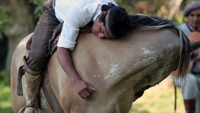 The Joy and Benefits of Horse Riding