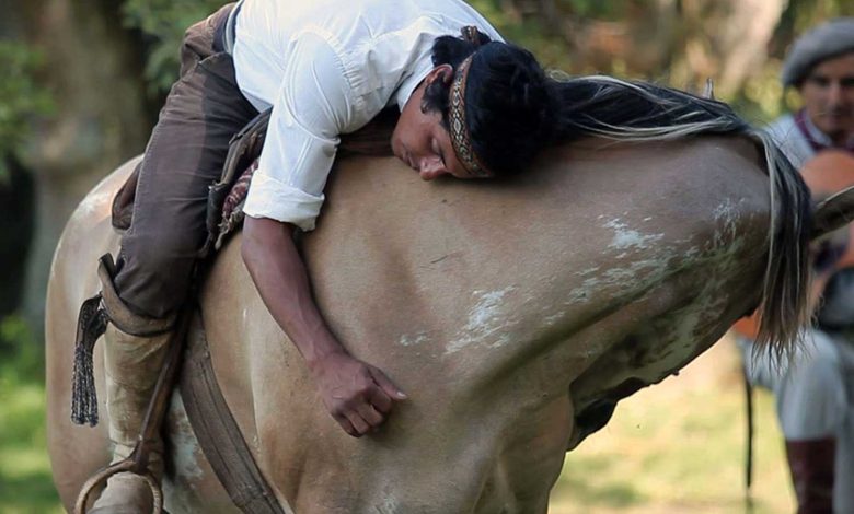 The Joy and Benefits of Horse Riding