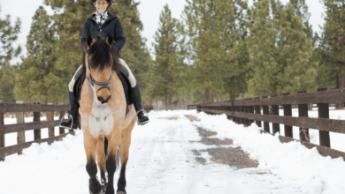 What to Wear Riding a Horse