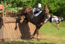 How Dangerous Is Horse Riding