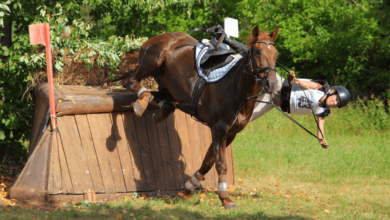 How Dangerous Is Horse Riding