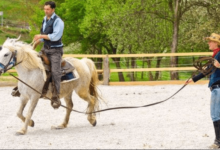 How to Clean Leather Horse Riding Gloves