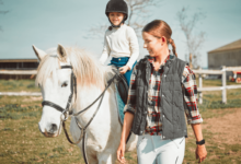 What Age Can a Child Start Horse Riding Lessons