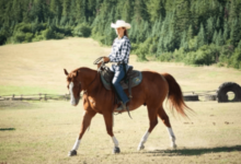 What to Wear Horse Back Riding