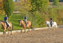 What to Wear When Riding a Horse