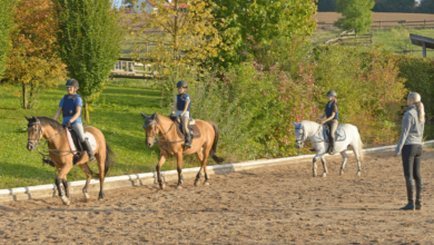 What to Wear When Riding a Horse