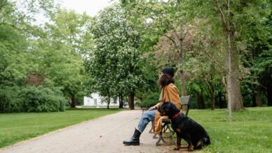 feature access assistance request