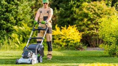 Understanding the Role of Testing in Customized Lawn Care