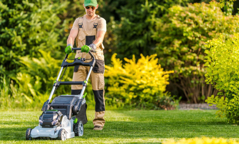 Understanding the Role of Testing in Customized Lawn Care