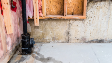 What to Expect During a Basement Leak Repair Process