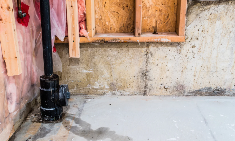 What to Expect During a Basement Leak Repair Process