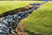 How Proper Yard Drainage Contributes to the Overall Health of Your Soil
