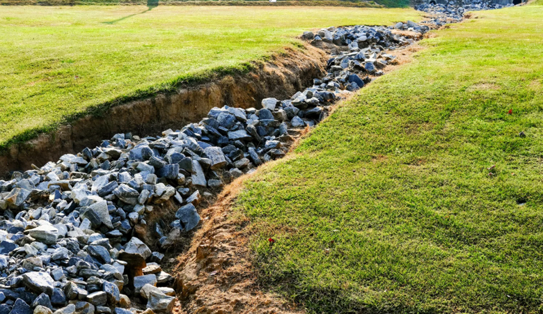 How Proper Yard Drainage Contributes to the Overall Health of Your Soil