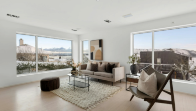 The Impact of an Energy Efficient Window on Your Home's Comfort Year-Round