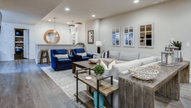 Basement Renovations Essential Guide for Maximizing Space and Value