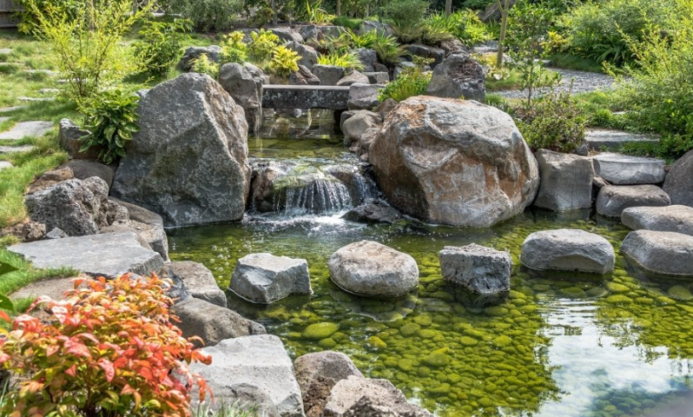 How Evolution Aqua Keeps Your Pond Clean and Balanced Naturally