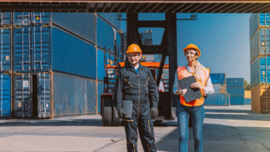 Section 321 Customs Clearance Explained for Efficient Import Processing