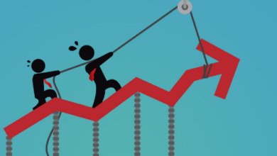 Digital Marketing Red Deer Strategies for Business Growth and Success