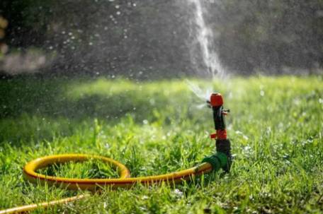 Lawn Care in Mississauga Tips for a Healthy, Green Yard