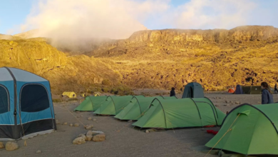 The Philosophy of the Climb: What Kilimanjaro Teaches About the Inner Architecture of Courage