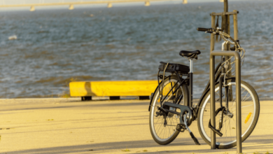 Ride the Beauty of Cascais: Your Complete Bike Rental Guide