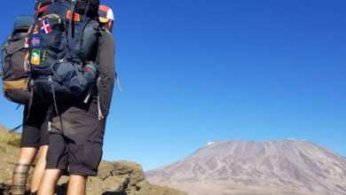 Precision in Motion: The Engineering of a Successful Kilimanjaro Climb