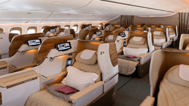 How to Find the Best Business Class Ticket to India from USA: A Practical, Friendly Guide