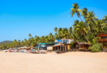 Best Family Tour Spots in India: A Complete Guide for Parents