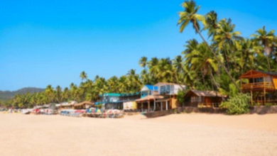 Best Family Tour Spots in India: A Complete Guide for Parents