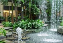 How a Fountain Tech Company Diagnoses Common Pond Pump Problems