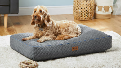 Buy Pet Bed Online: The Ultimate Guide to Finding the Perfect Comfort for Your Furry Friend 