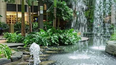 How a Fountain Tech Company Diagnoses Common Pond Pump Problems