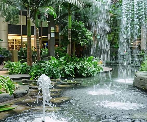 How a Fountain Tech Company Diagnoses Common Pond Pump Problems