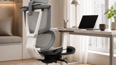 5 Reasons a Desk Chair with Back Support Can Improve Your Workday