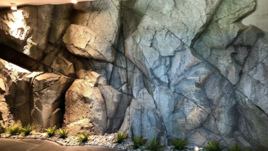 10 Smart Design Tips for Blending a Decorative Rock Wall with Contemporary Architecture